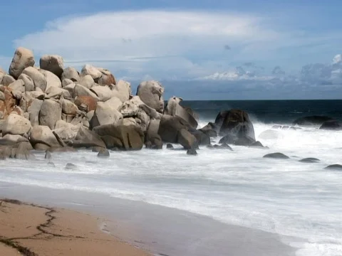 Sea Rocks Video stock 490157