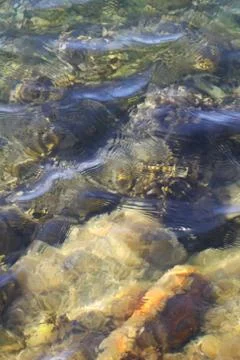 Sea rocks Stock Photos