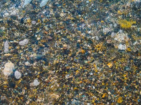 Sea rounded pebble shines through clear water Stock Photos