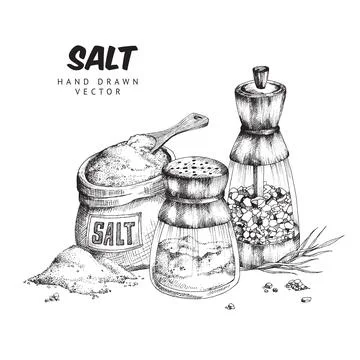 Premium Vector  Vintage and cute illustration of a salt and