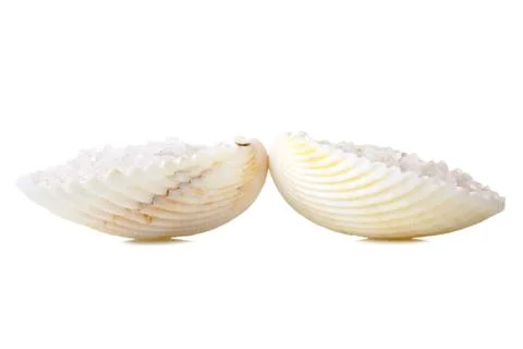 Sea salt in a shell Stock Photos