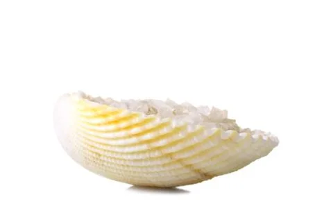 Sea salt in a shell Stock Photos