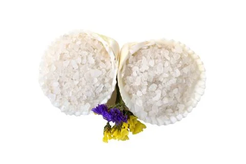 Sea salt in a shell Stock Photos