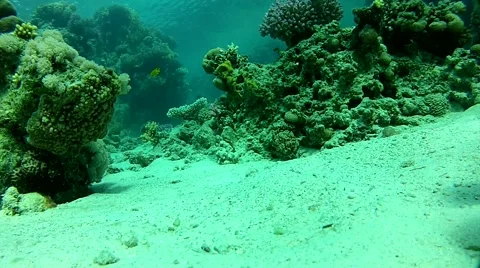 Sea salt.mp4 Stock Footage 57418449