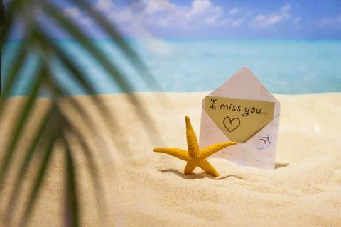 Sea sand and shells on the beach of a tropical Paradise island under palm trees Stock Photos