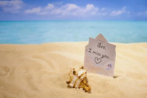 Sea sand and shells on the beach of a tropical Paradise island under palm trees Stock Photos