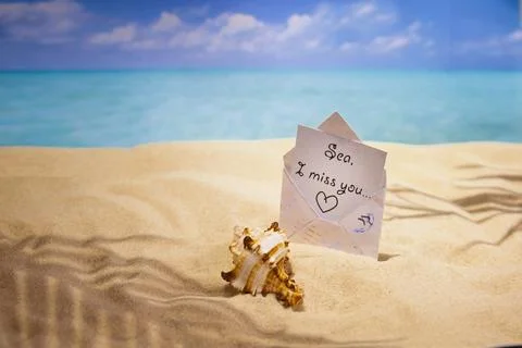 Sea sand and shells on the beach of a tropical Paradise island under palm trees Stock Photos