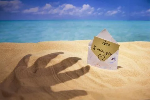 Sea sand and shells on the beach of a tropical Paradise island under palm trees Stock Photos