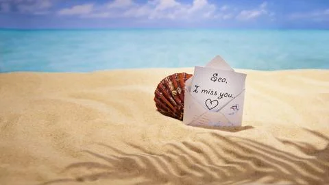 Sea sand and shells on the beach of a tropical Paradise island under palm trees Stock Photos