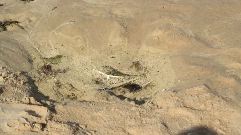 Sea sand and waves Stock Footage 99119341