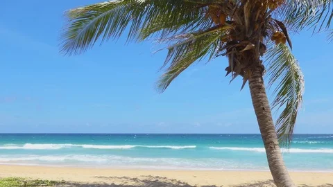 Sea Sand Beach, Kata Beach Phuket Thailand Stock-Footage 77563653