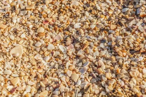 Sea sand Photos