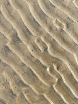 Sea sand ribbed pattern, formed by back and forth waves in shallow sea area 스톡 사진