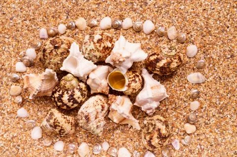 Sea sand with seashells as background, space for text. Stock Illustration