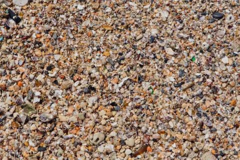 Sea sand texture made of shell and stone pieces. Stock Photos