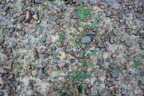 Sea sand texture made of shell and stone pieces Stock Photos