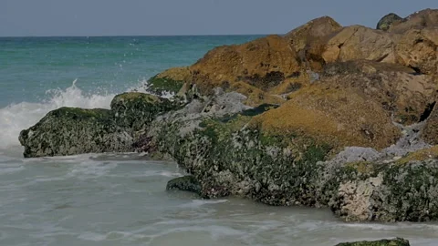 The sea sandy shore with splashes of waves on the rocks. Video stock 86186173