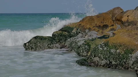 The sea sandy shore with splashes of waves on the rocks. Stock-Footage 86186467