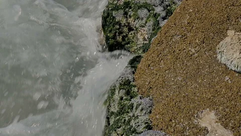 The sea sandy shore with splashes of waves on the rocks. Video stock 86187036