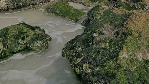 The sea sandy shore with splashes of waves on the rocks. Video stock 86227491