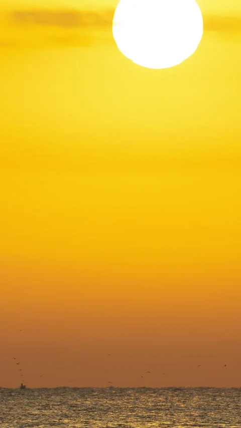 Sea scene in vertical Video stock 263674161