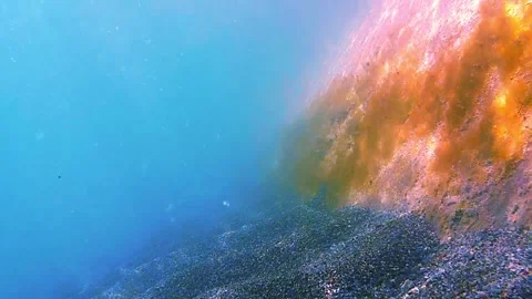 Sea, seabed, sand, rocks, sunlight Vidéo 342275489