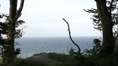 The sea seen throug the trees Stock-Footage 86790608