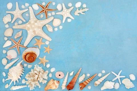 Sea Shell Abstract Background Border Collection 스톡 사진