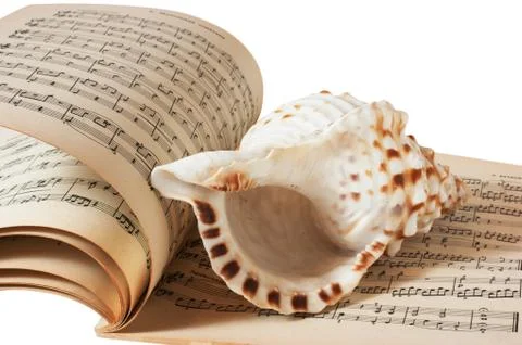 Sea shell and music book Stockfoto's