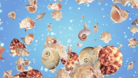 Sea Shell Background Stock Footage