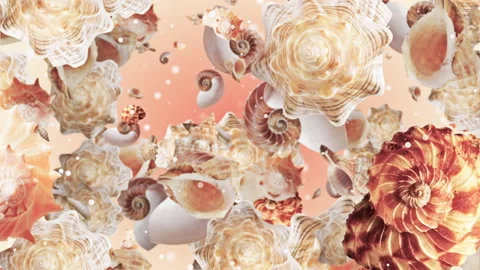 Sea Shell Background Looped Video Stock Footage 146774279