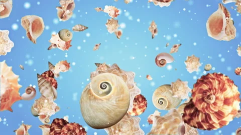 Sea shell Background Looped Video Stock Footage 151463207