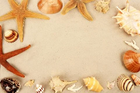 Sea shell background Stock Photos