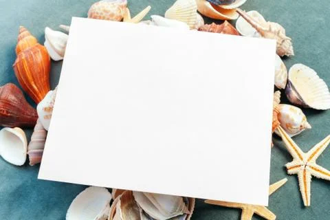 Sea Shell background with space for text Stock Photos