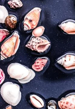 Sea shell background, summertime destination and beach holiday travel card Stock Photos