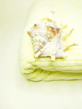 Sea shell on bathing towel Stock Photos