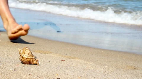 Sea ​​shell on the beach and human legs Stock Footage 41353581