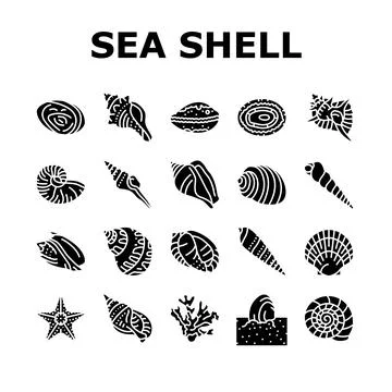 Sea shell beach summer ocean icons set vector Illustrazione stock