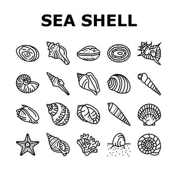 Sea shell beach summer ocean icons set vector Stock Illustration