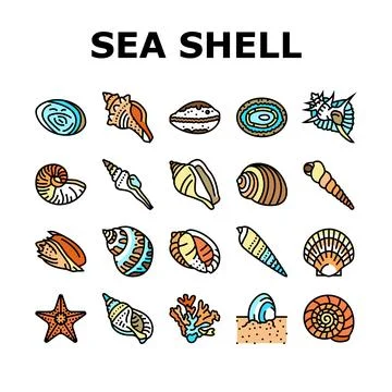 Sea shell beach summer ocean icons set vector Illustrazione stock