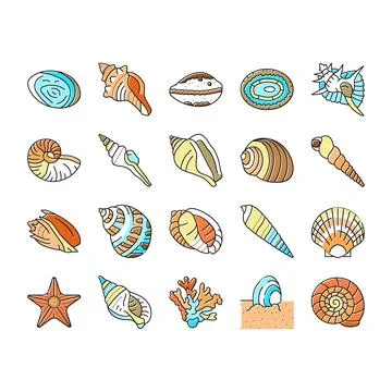 Sea shell beach summer ocean icons set vector Stock Illustration