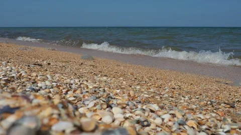 Sea shell beach in sunlight. Shimmering sea wave foams on sand Azov beach Stock Footage 255448763