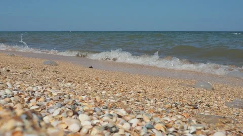 Sea shell beach in sunlight. Shimmering sea wave foams on sand Azov beach Video stock 255453544