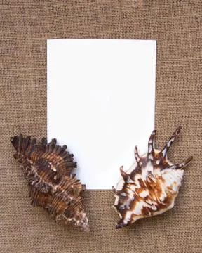 Sea shell border on burlap texture Stock Photos