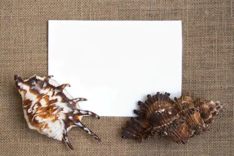 Sea shell border on burlap texture Stock Photos