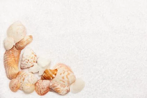 Sea shell border on white fluffy towel texture background Stock Photos