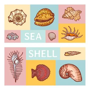 Sea shell cartoon vector illustration icon isolated on color tablet. Ocean Stock Illustration