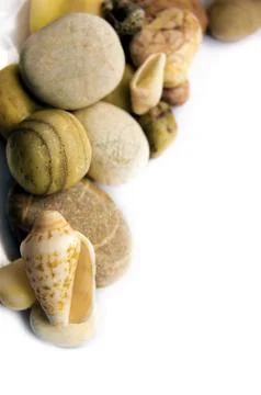 Sea shell collection Stock Photos