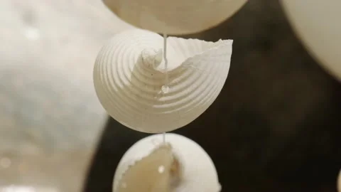 Sea shell decoration Vidéo 203481946