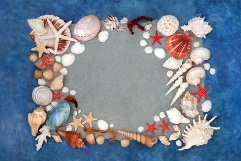 Sea Shell Design Abstract Background Border Stock Photos